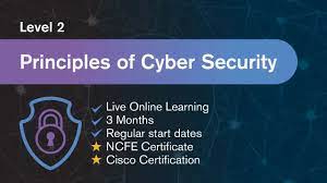 cyber security training online