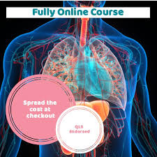 online anatomy course