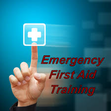 first aid certification online