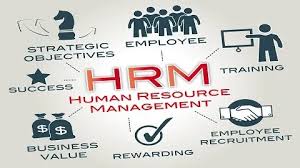 human resource management courses